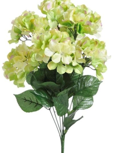 Hortenzia kytica – umelé kvety