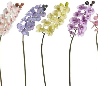 Orchidea mini – umelé kvety