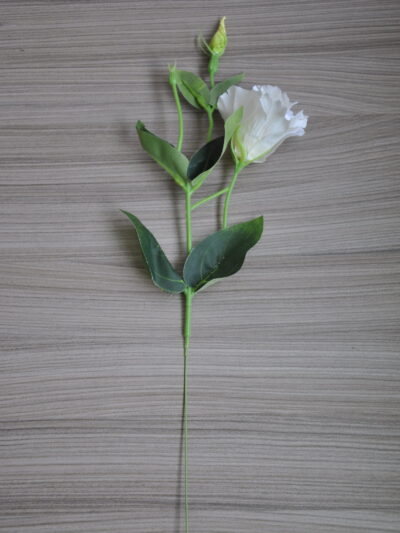 Eustoma – umelý kvet
